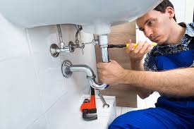 Best Drain Cleaning and Unclogging  in Brownlee Park, MI